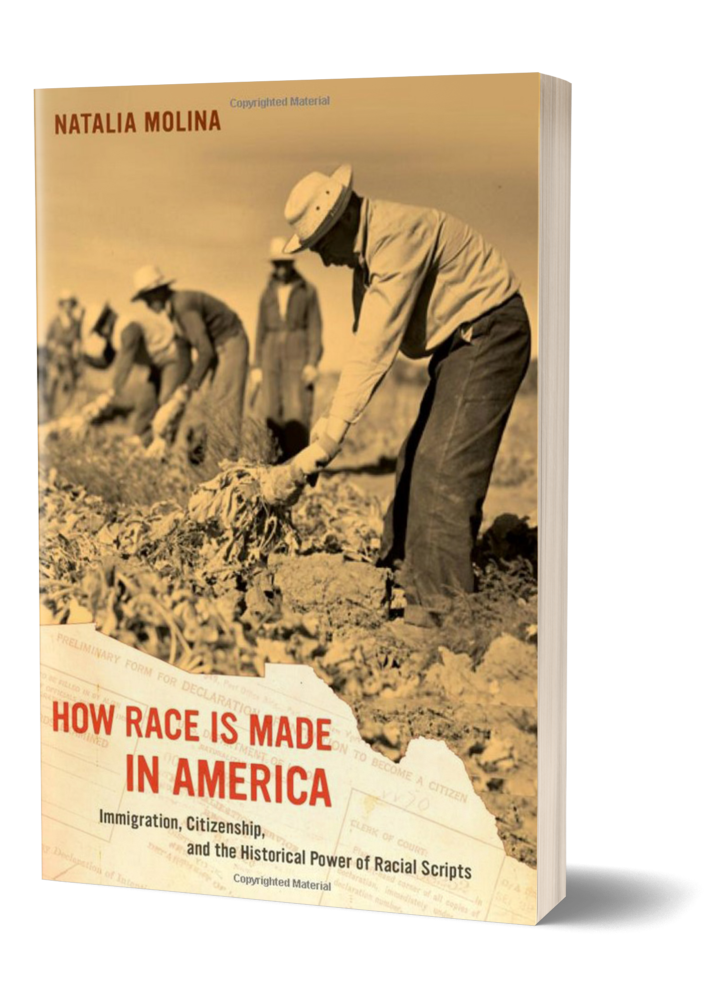 How Race Was Made in America by Natalia Molina Book Cover